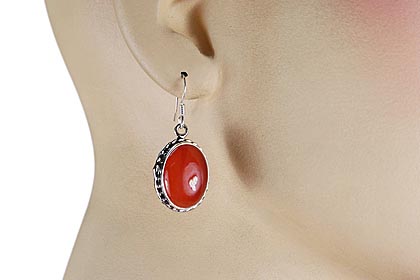 SKU 12031 unique Carnelian earrings Jewelry
