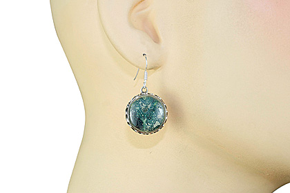 SKU 12065 unique Jasper earrings Jewelry