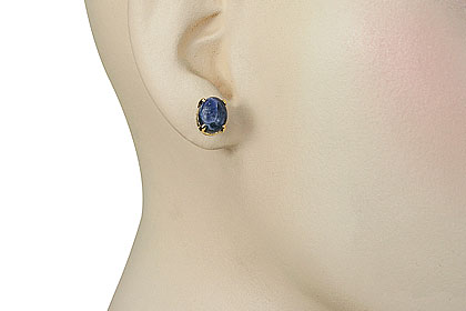 SKU 16444 unique Sodalite earrings Jewelry