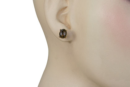 SKU 16445 unique Jasper earrings Jewelry