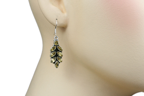 SKU 9397 unique Citrine earrings Jewelry