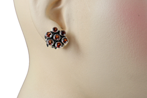 SKU 9639 unique Garnet earrings Jewelry