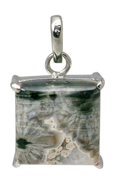 SKU 11607 - a Jasper pendants Jewelry Design image