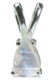SKU 12787 - a Moonstone pendants Jewelry Design image