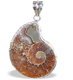 SKU 15393 - a Ammonite Pendants Jewelry Design image