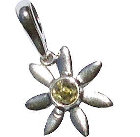 SKU 15810 - a Amber pendants Jewelry Design image
