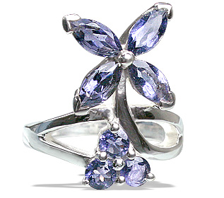 SKU 12197 - a Iolite rings Jewelry Design image