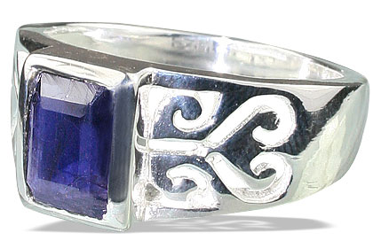 SKU 13101 - a Iolite rings Jewelry Design image