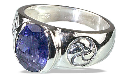 SKU 13147 - a Iolite rings Jewelry Design image