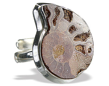 SKU 15441 - a Ammonite rings Jewelry Design image