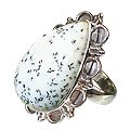 12075: Silver Setting black,white dendrite opal  american-southwest rings