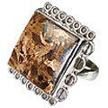 12127: Silver Setting brown bronzite american-southwest rings