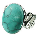 14174: Silver Setting blue,green turquoise american-southwest rings