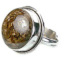 bronzite rings