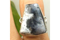 7254: Silver Setting black,white dendrite opal  american-southwest rings