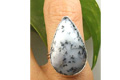 dendrite opal rings