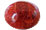 Sponge Coral gemstone thumbnail